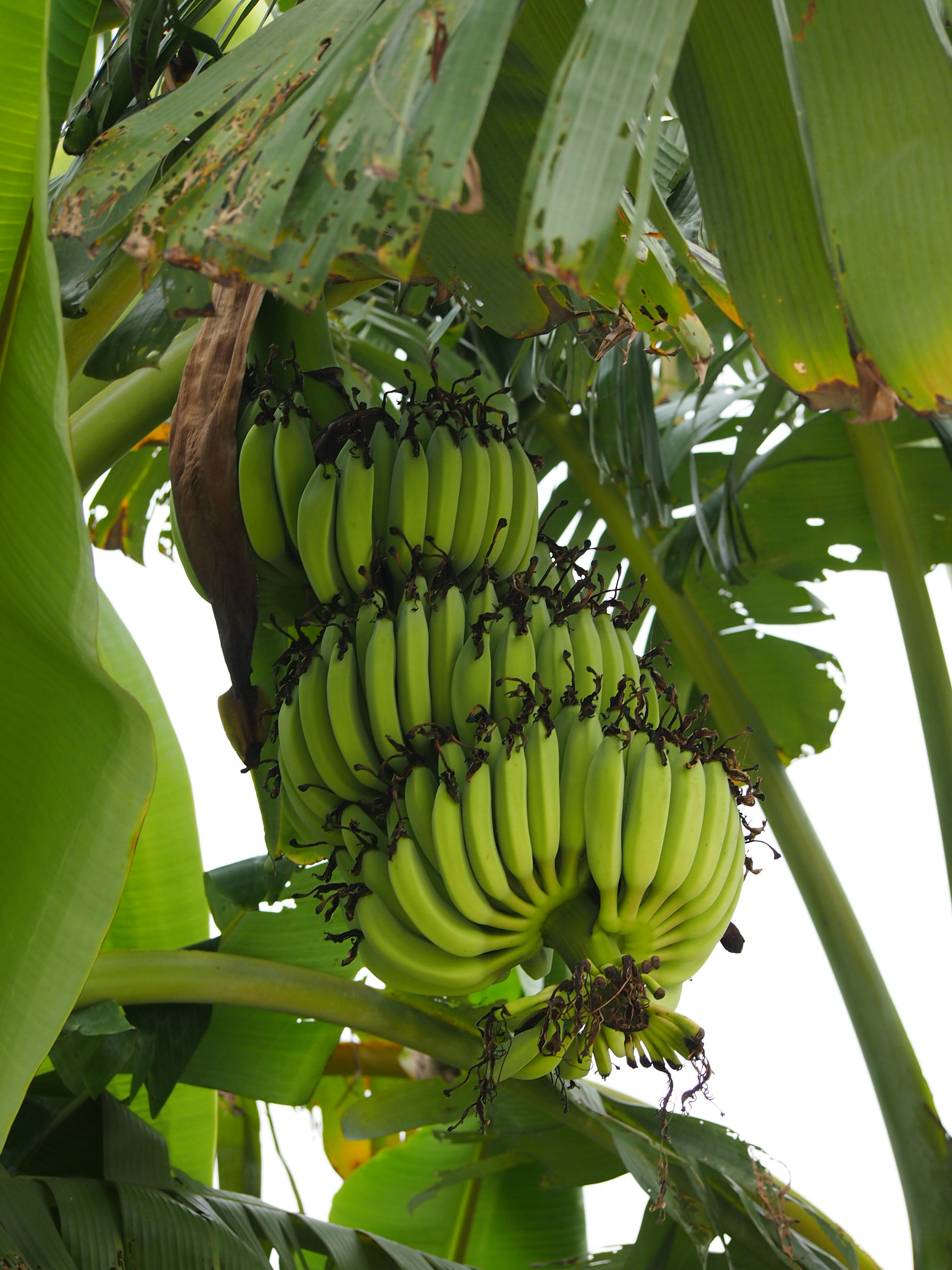 Multi-stackholder Forum 2016-11