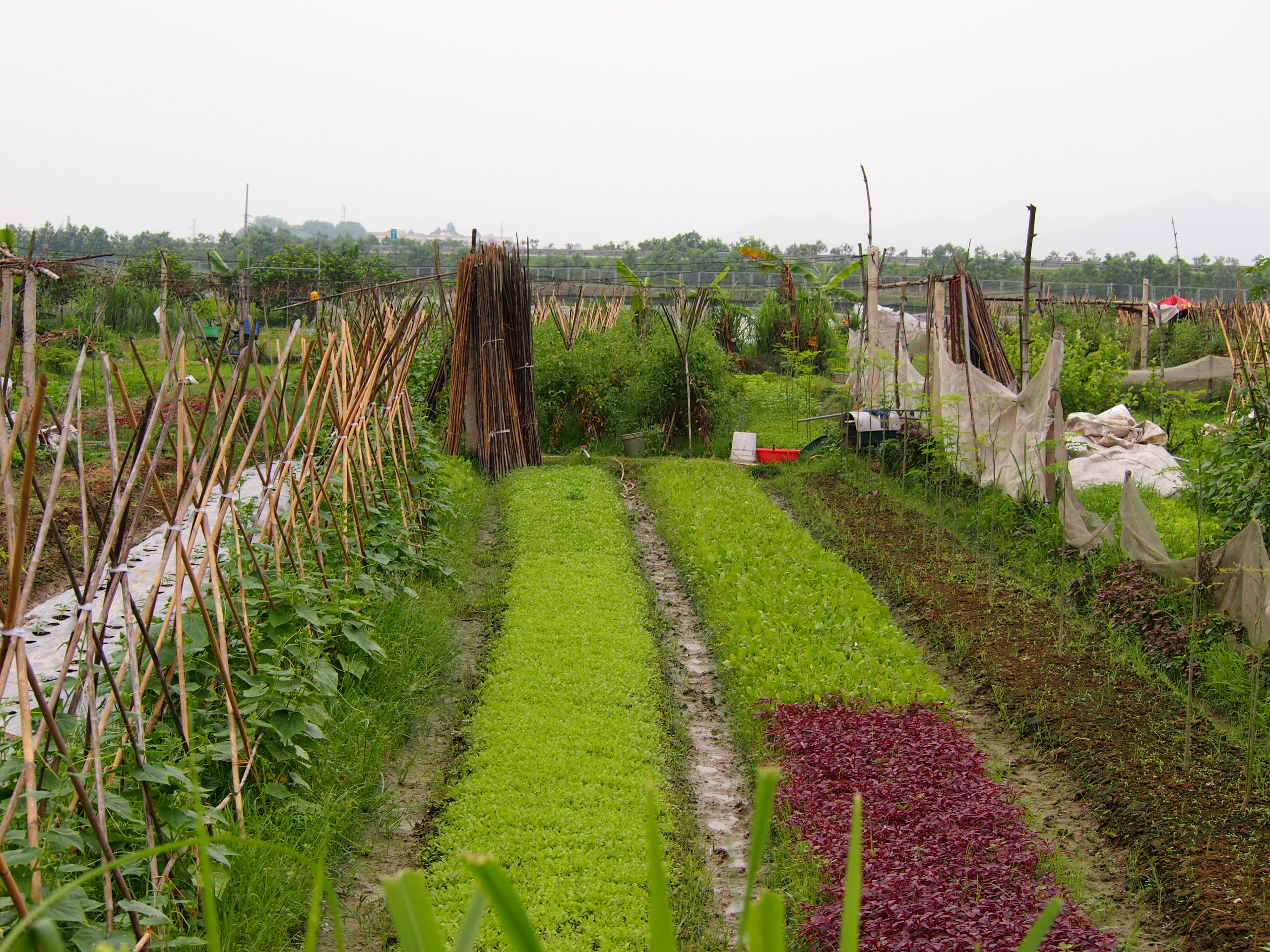 Multi-stackholder Forum 2016-09