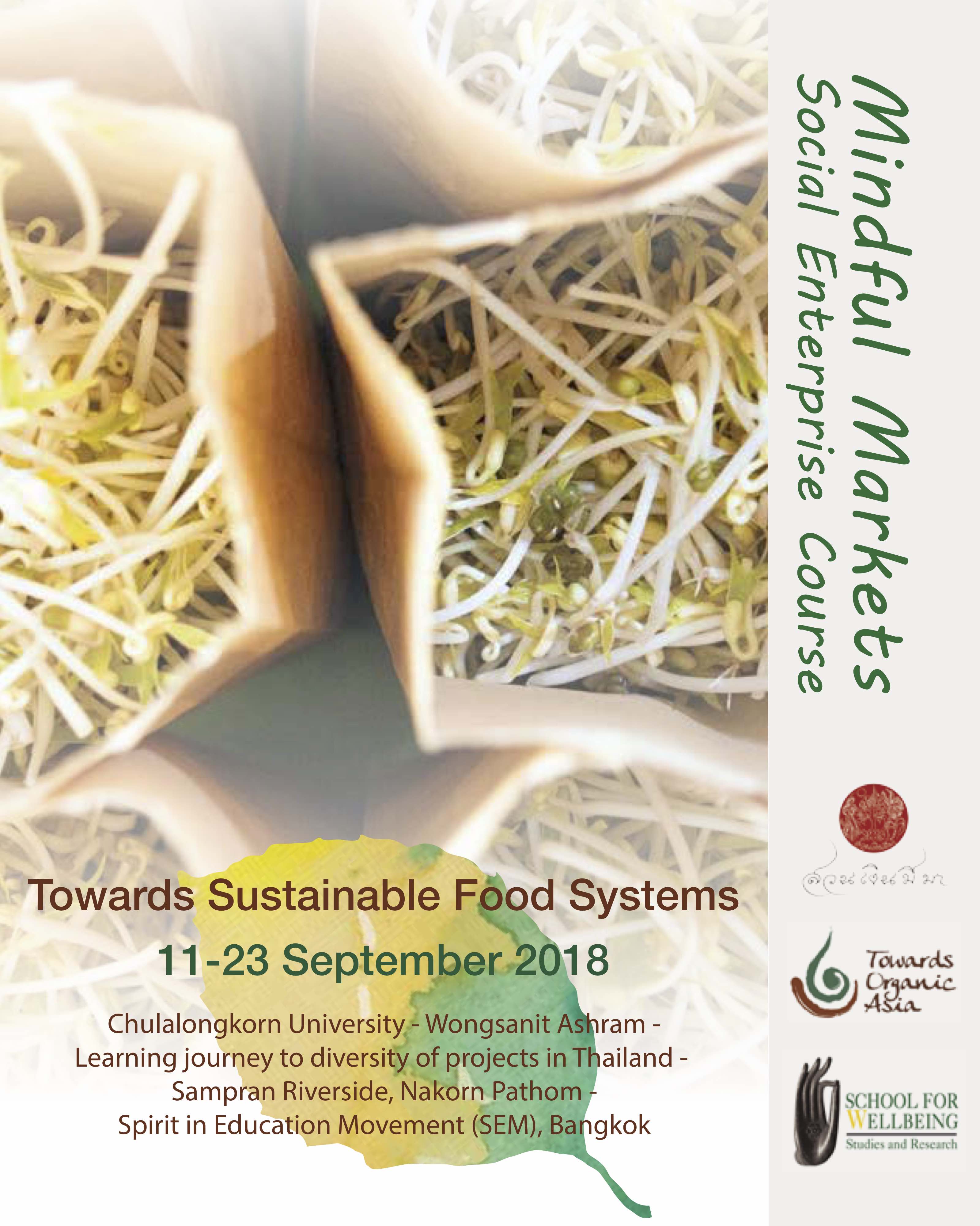 MMSE Course Brochure 1